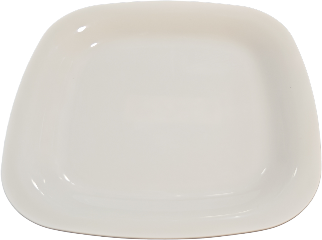PLATO CUADRADO