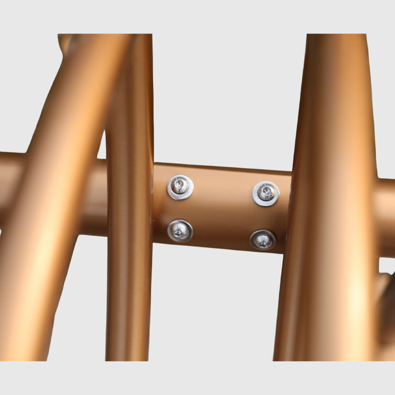 Gold Plated Bike Rack - Premium  Stainless Steel for Outdoor Parking