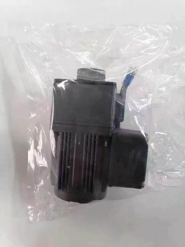 ShengSong 2IK6GN-C-T1-Y1 Motor | Qattex