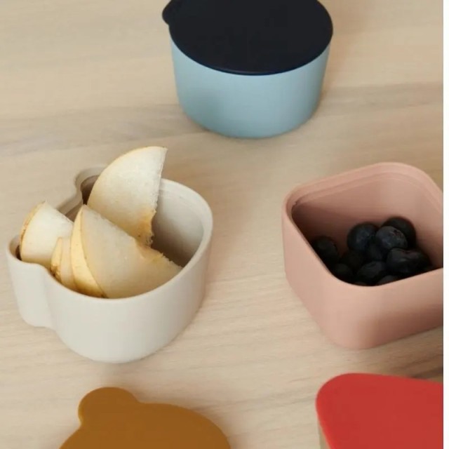 Silicone Snack Trays Containers Box with Lids