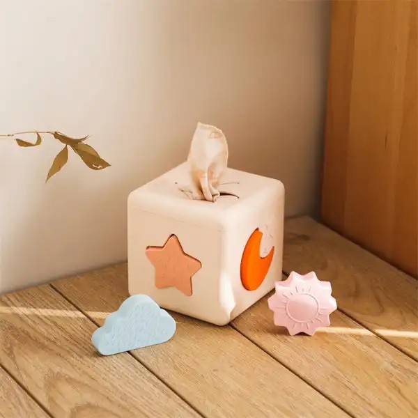 Silicone Shape Matching Blocks Set