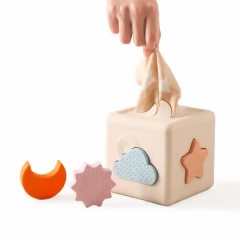 Silicone Shape Matching Blocks Set