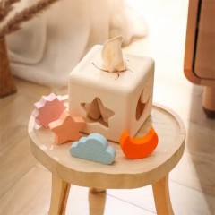 Silicone Shape Matching Blocks Set