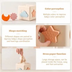 Silicone Shape Matching Blocks Set