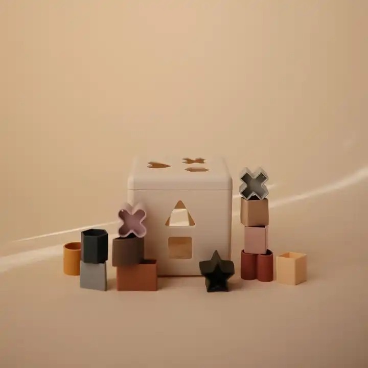 Silicone Shape Sorting Box