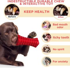 Kangde Rubber Dog Toy
