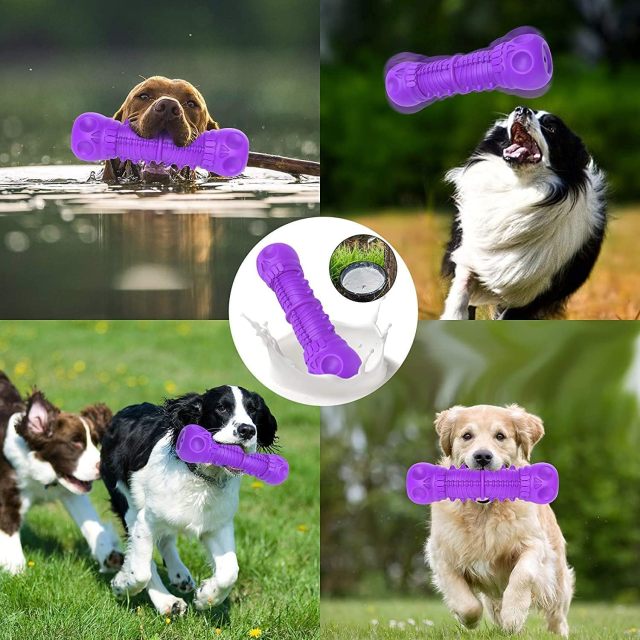 Kangde Rubber Dog Toys