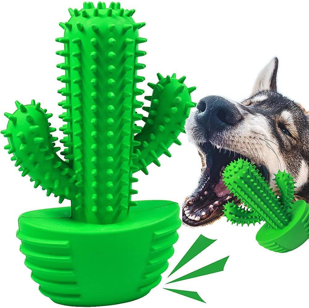 Dog Chew Rubber Toys Dog