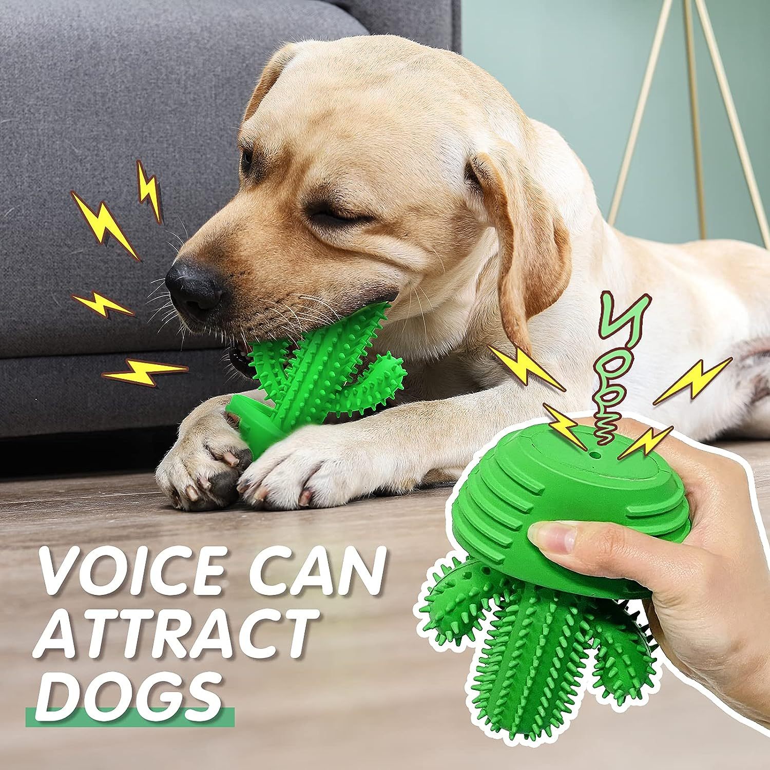 Dog Chew Rubber Toys Dog