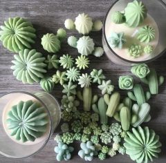 Succulent Silicone Mold,Flower Resin Mold,Succulent Silicone Mold,Flower Resin Mold,Silicone Candle Molds.3D Cacti Candle Mold Silicone for Scented Candles Soaps Making, Wax, Resin Casting,Soap Cake Dessert Mousse Mold
