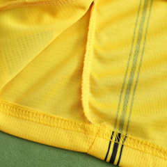 2425 season Dortmund home Fan version