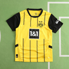 2425 season Dortmund home Fan version