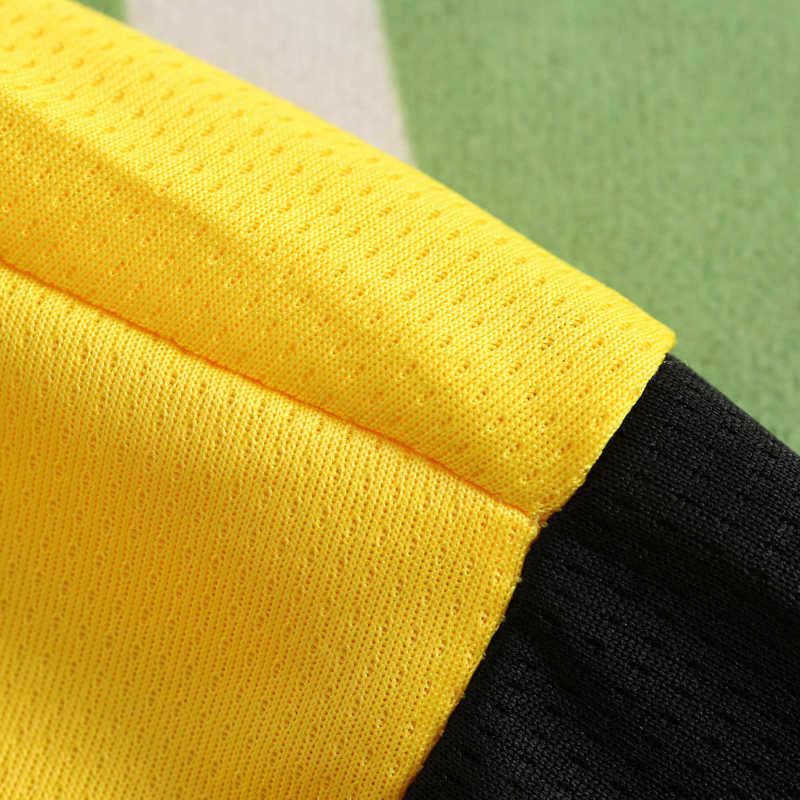 2425 season Dortmund home Fan version