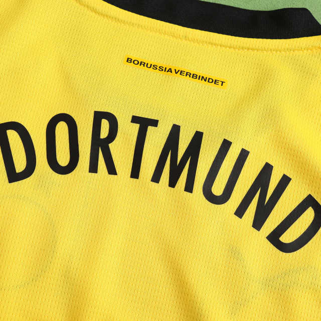 2425 season Dortmund home Fan version