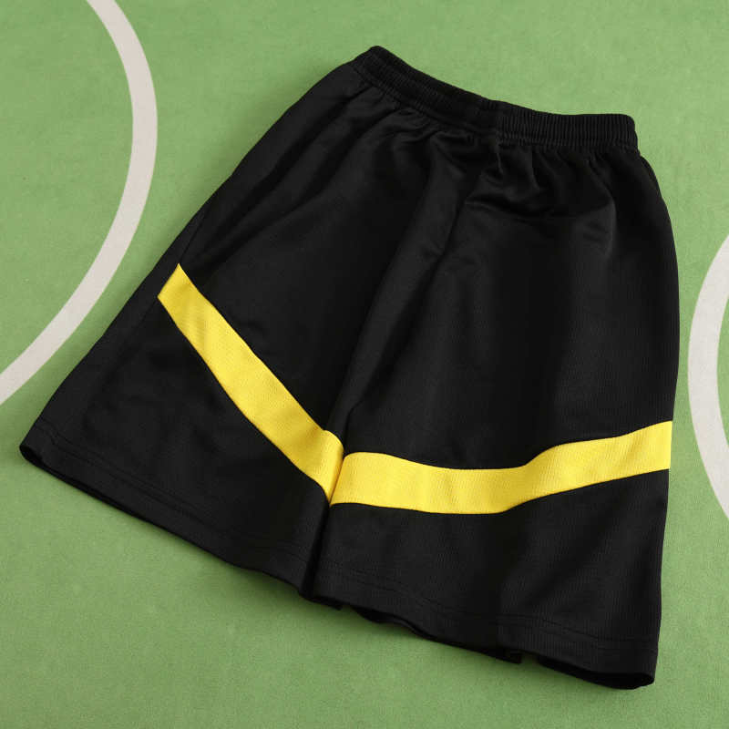 2425 season Dortmund home Fan version