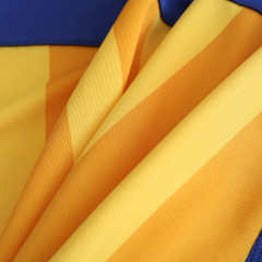 2425 season Boca Juniors home Fan version