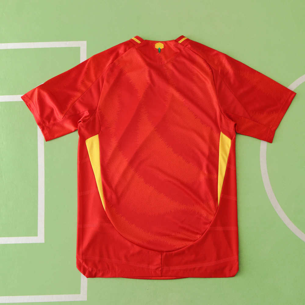 2425 UEFA Spain home Player version
