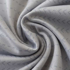 2425 season S.L. Benfica third Fan version