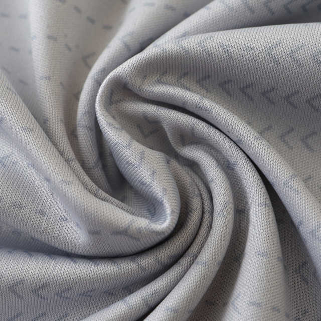 2425 season S.L. Benfica third Fan version