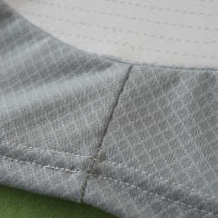 2425 season S.L. Benfica third Fan version