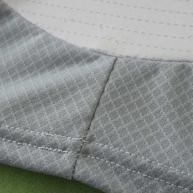 2425 season S.L. Benfica third Fan version