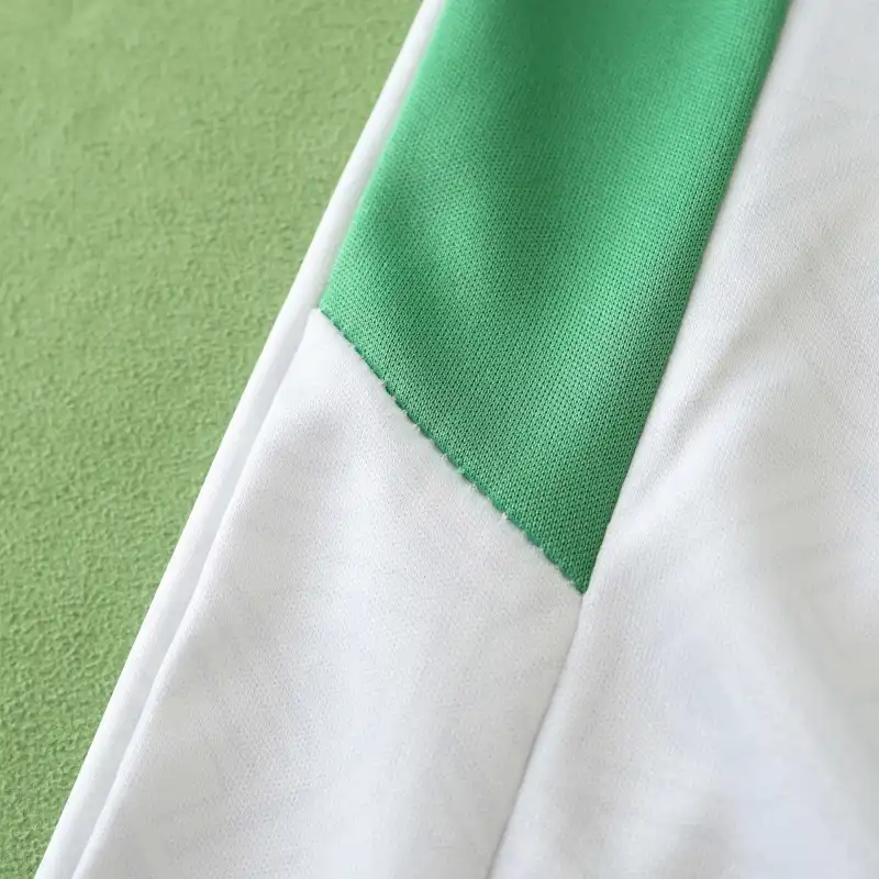 2425 season Ireland away Fan version