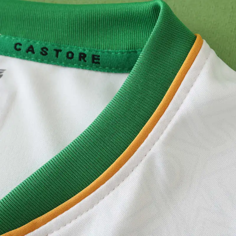 2425 season Ireland away Fan version