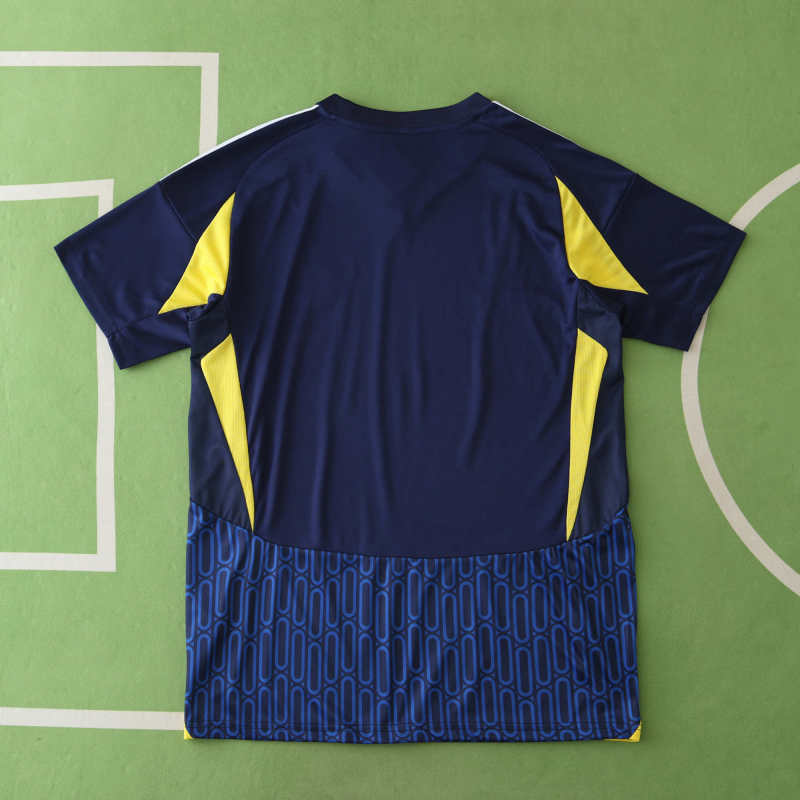 2425 season Al Nassr FC away Fan version
