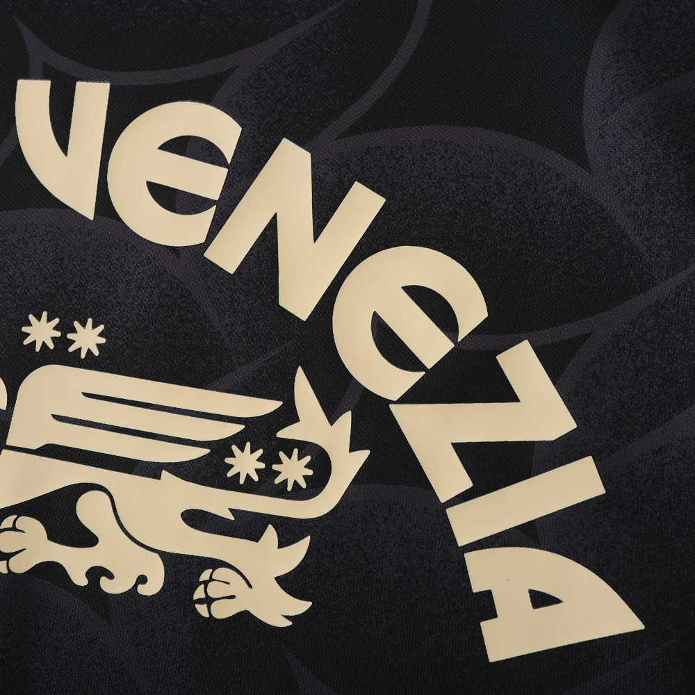 2425 season Venezia F.C. home Fan version
