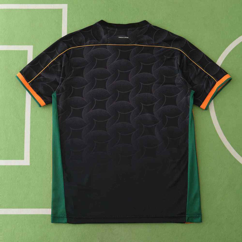 2425 season Venezia F.C. home Fan version