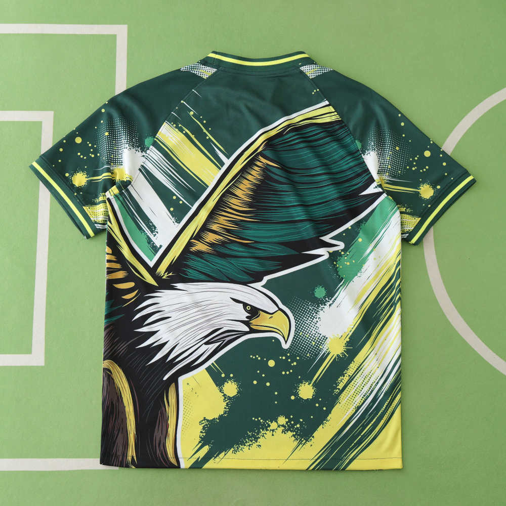 2425 season Brazil Concept version Fan version