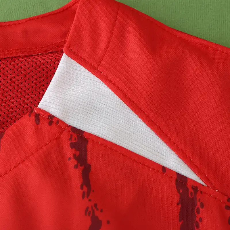 2425 season SC Freiburg home Fan version