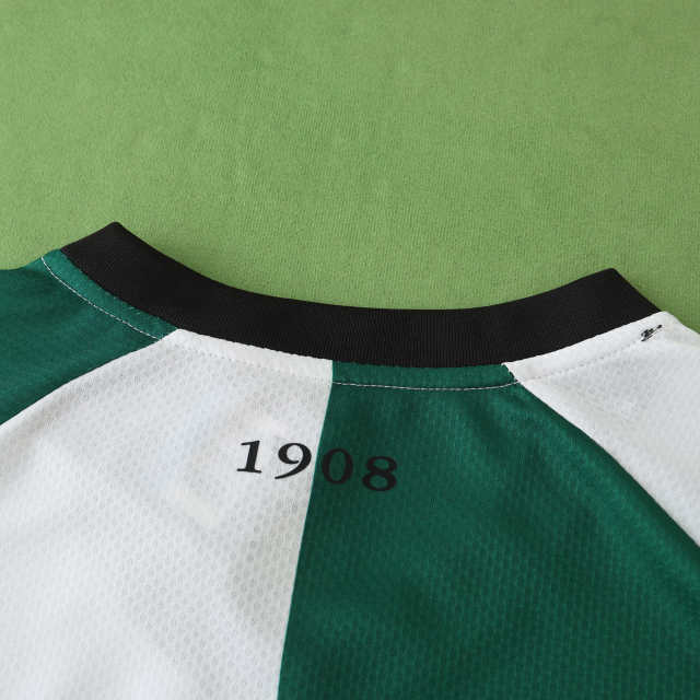 2425 season Feyenoord third Fan version