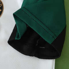 2425 season Feyenoord third Fan version