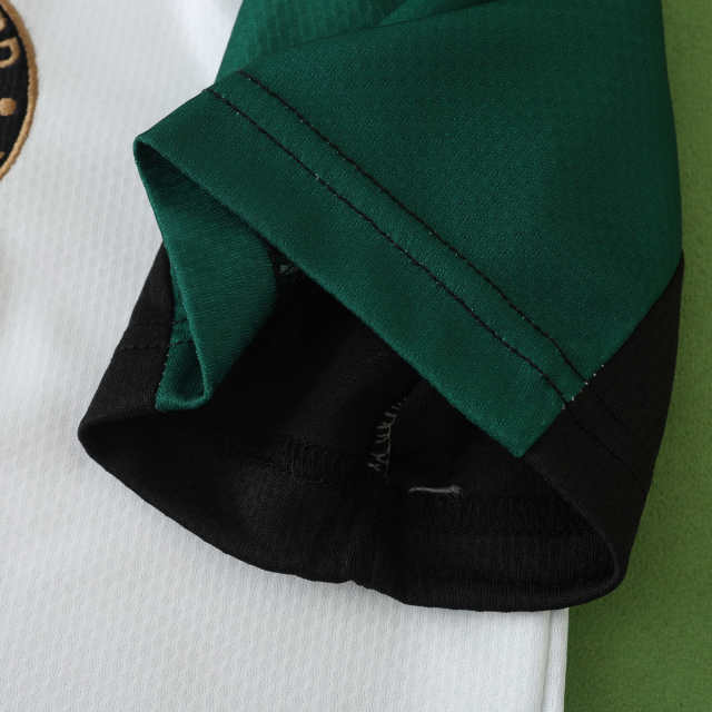 2425 season Feyenoord third Fan version