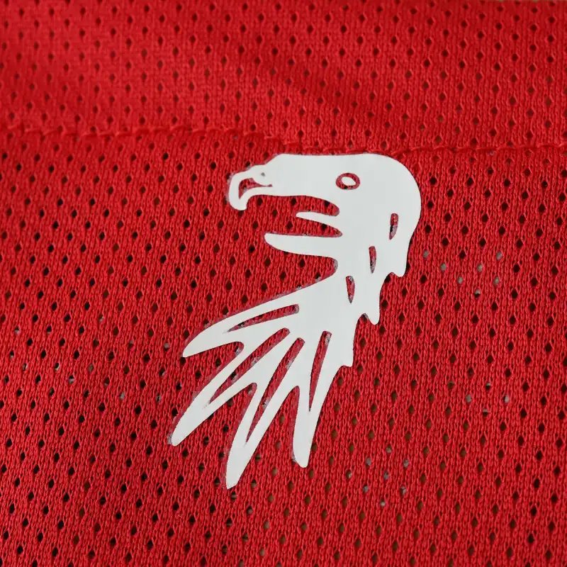 2425 season SC Freiburg home Fan version