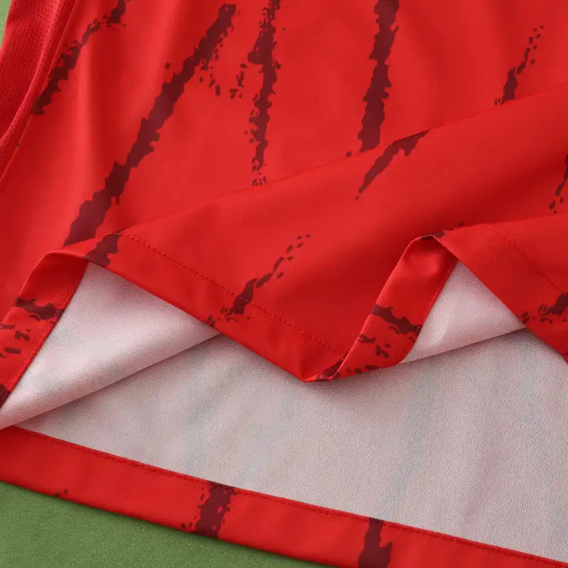 2425 season SC Freiburg home Fan version