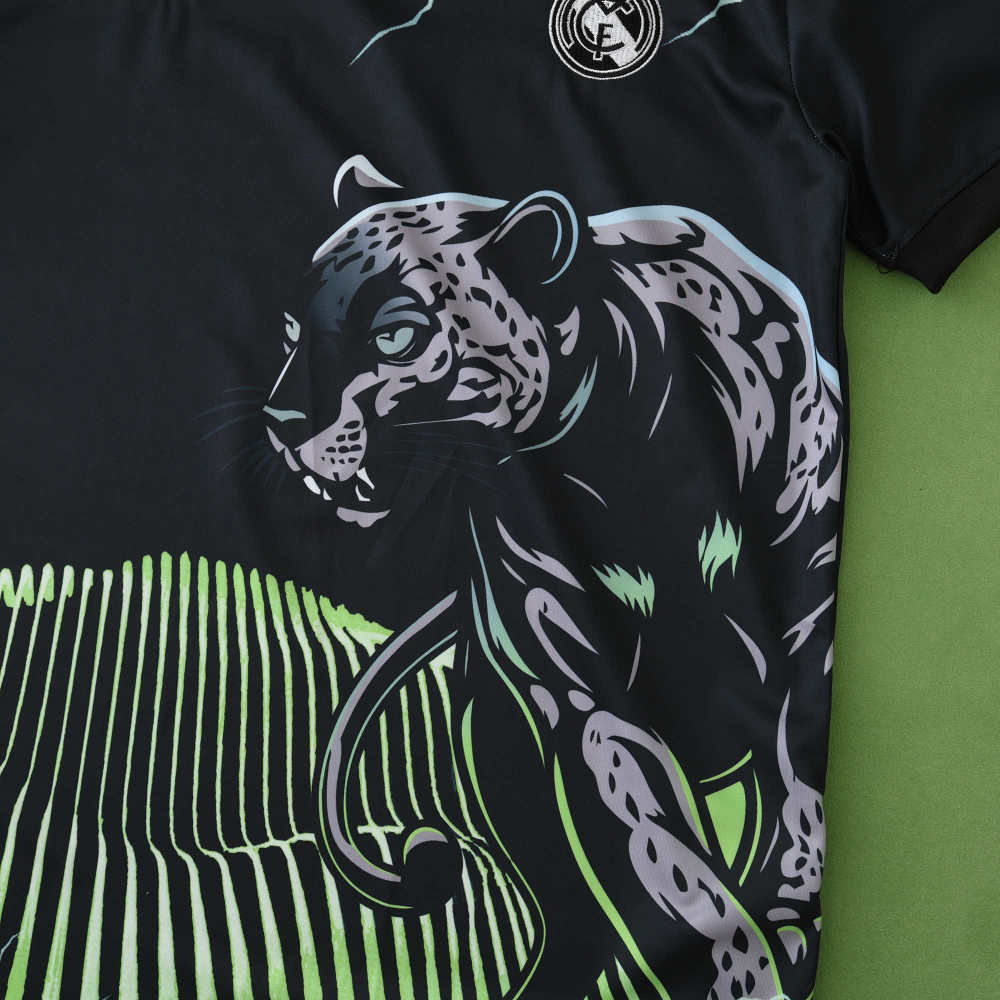 2425 season Real Madrid CF Concept version Fan version