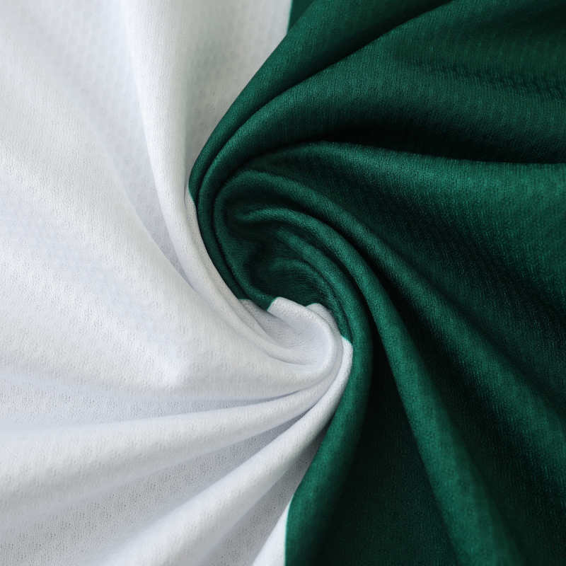 2425 season Feyenoord third Fan version