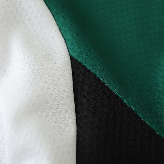 2425 season Feyenoord third Fan version