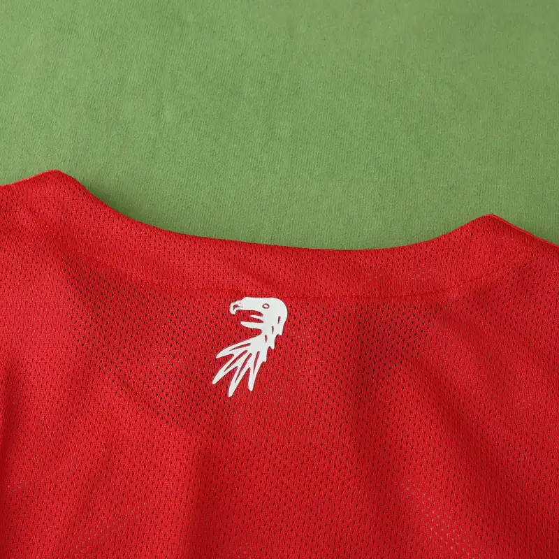 2425 season SC Freiburg home Fan version