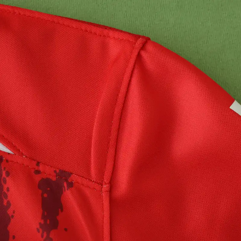2425 season SC Freiburg home Fan version