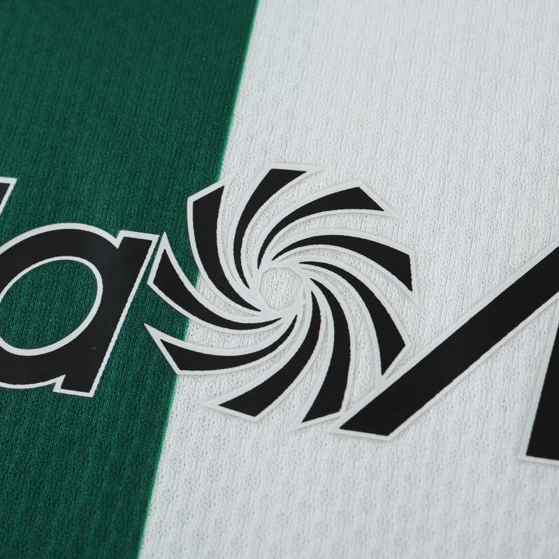 2425 season Feyenoord third Fan version