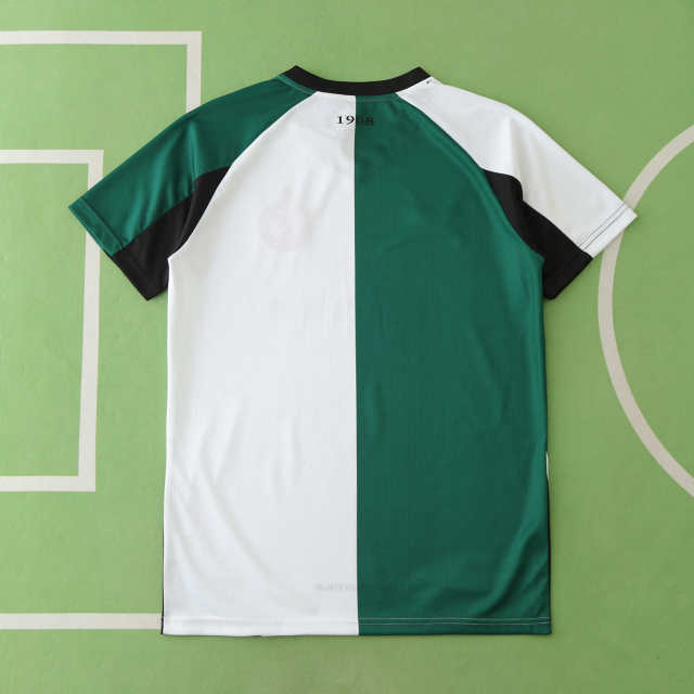 2425 season Feyenoord third Fan version