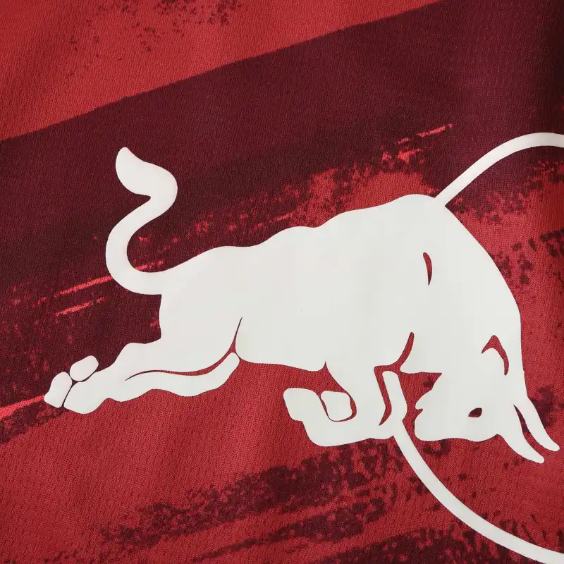 2425 season RB Leipzig away Fan version