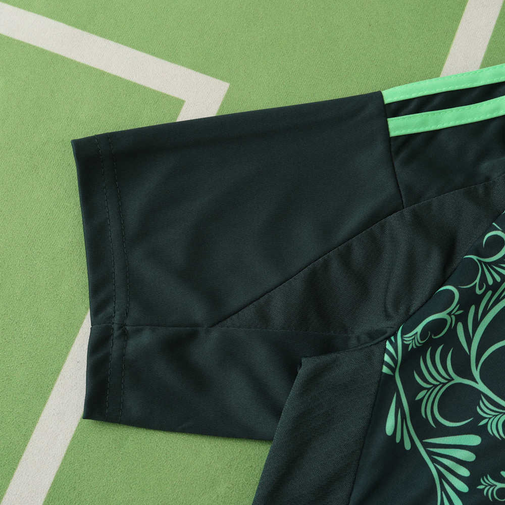 2425 season Algeria away Fan version
