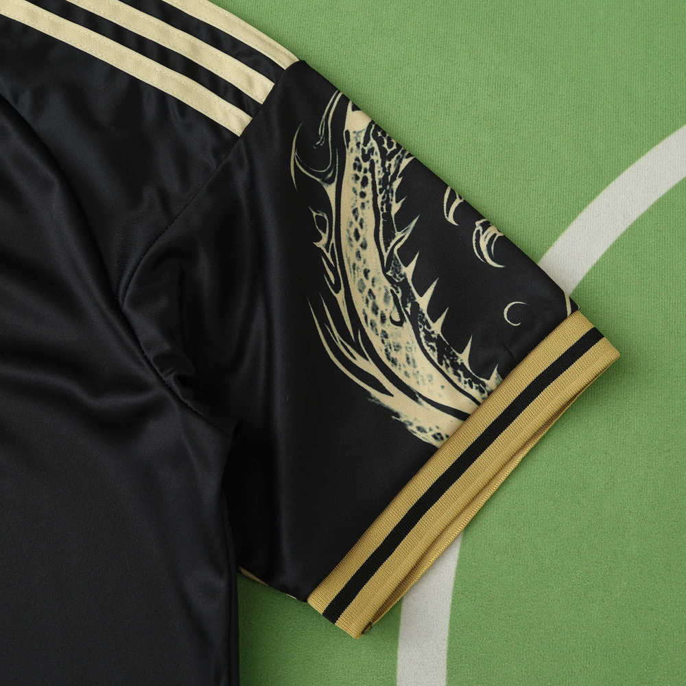 2425 season Real Madrid CF Concept version Fan version