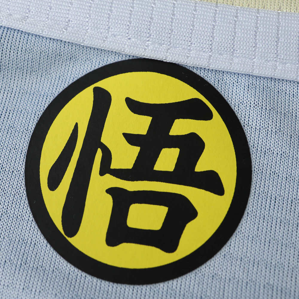 2425 season Japan Concept version Fan version