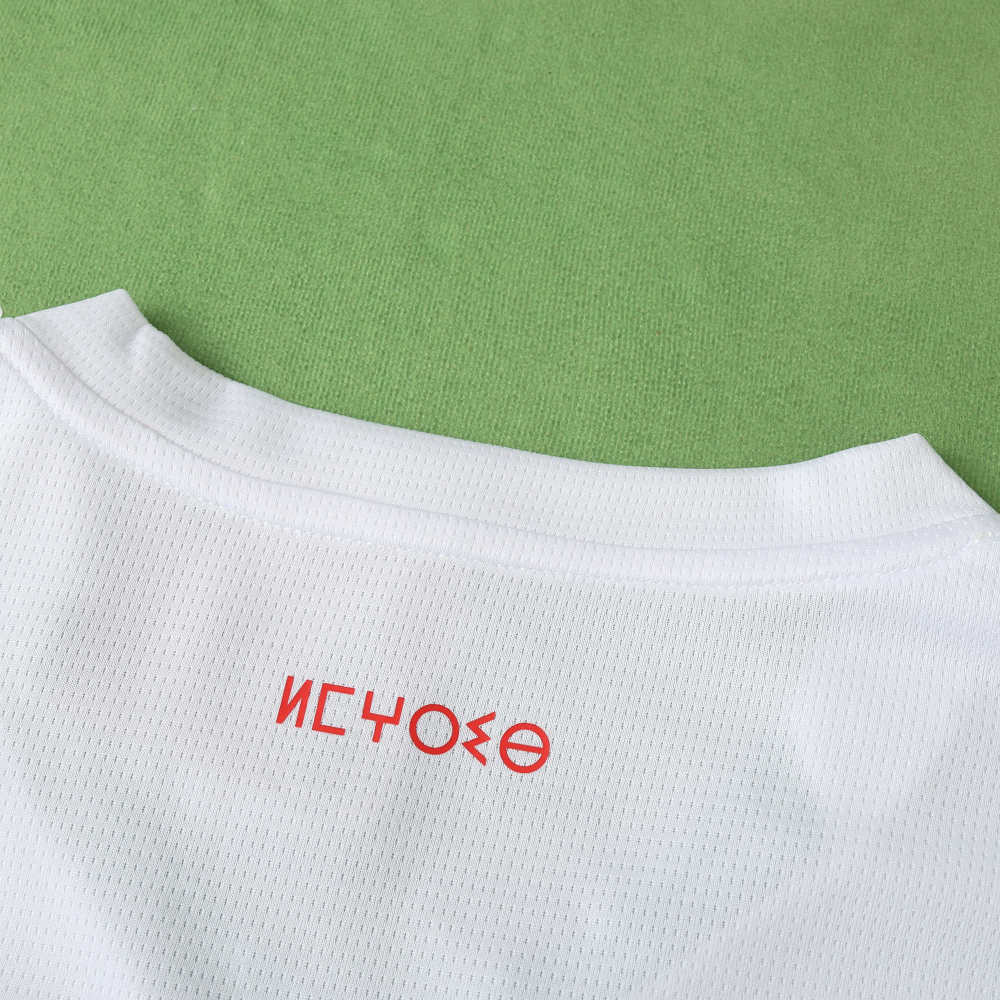 2425 season Monaco away Fan version