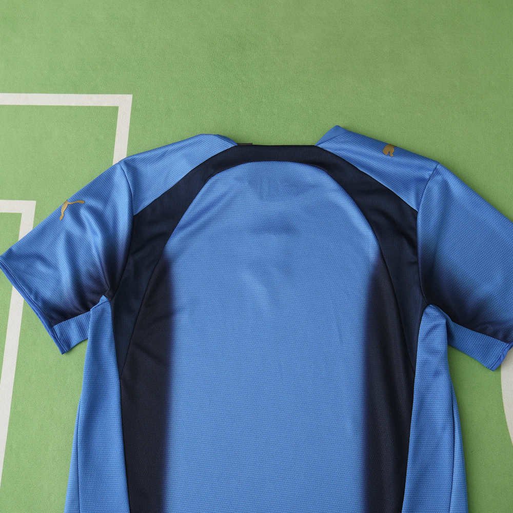 2006 season Italy home retro Fan version